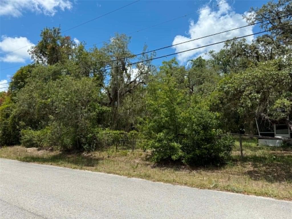 10051 Waddell Street New Port Richey, FL 34654 - Photo 5 of 8