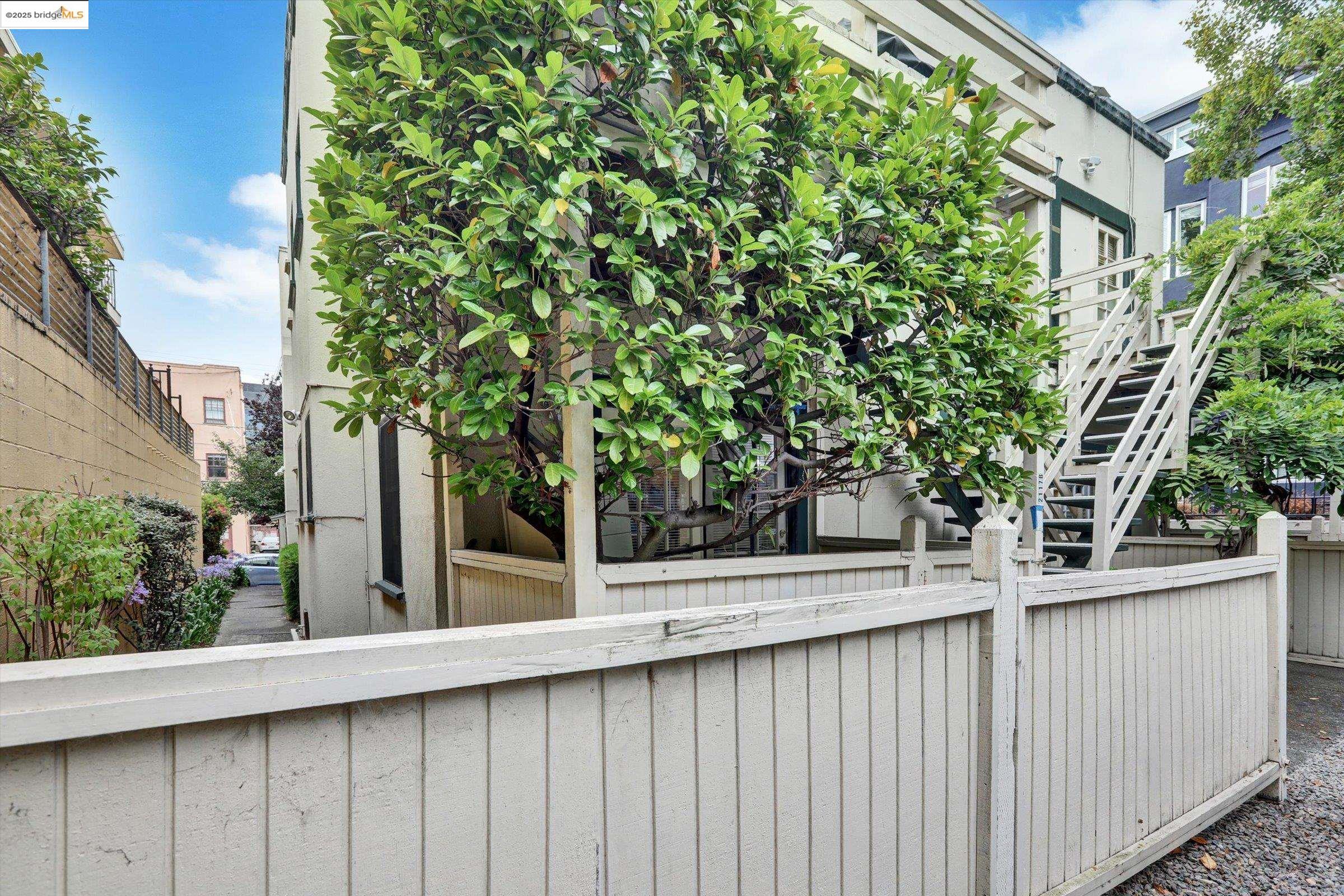 2117 Delaware Street, Unit B Berkeley, CA 94709 - Photo 11 of 14 a view of a house with a tree