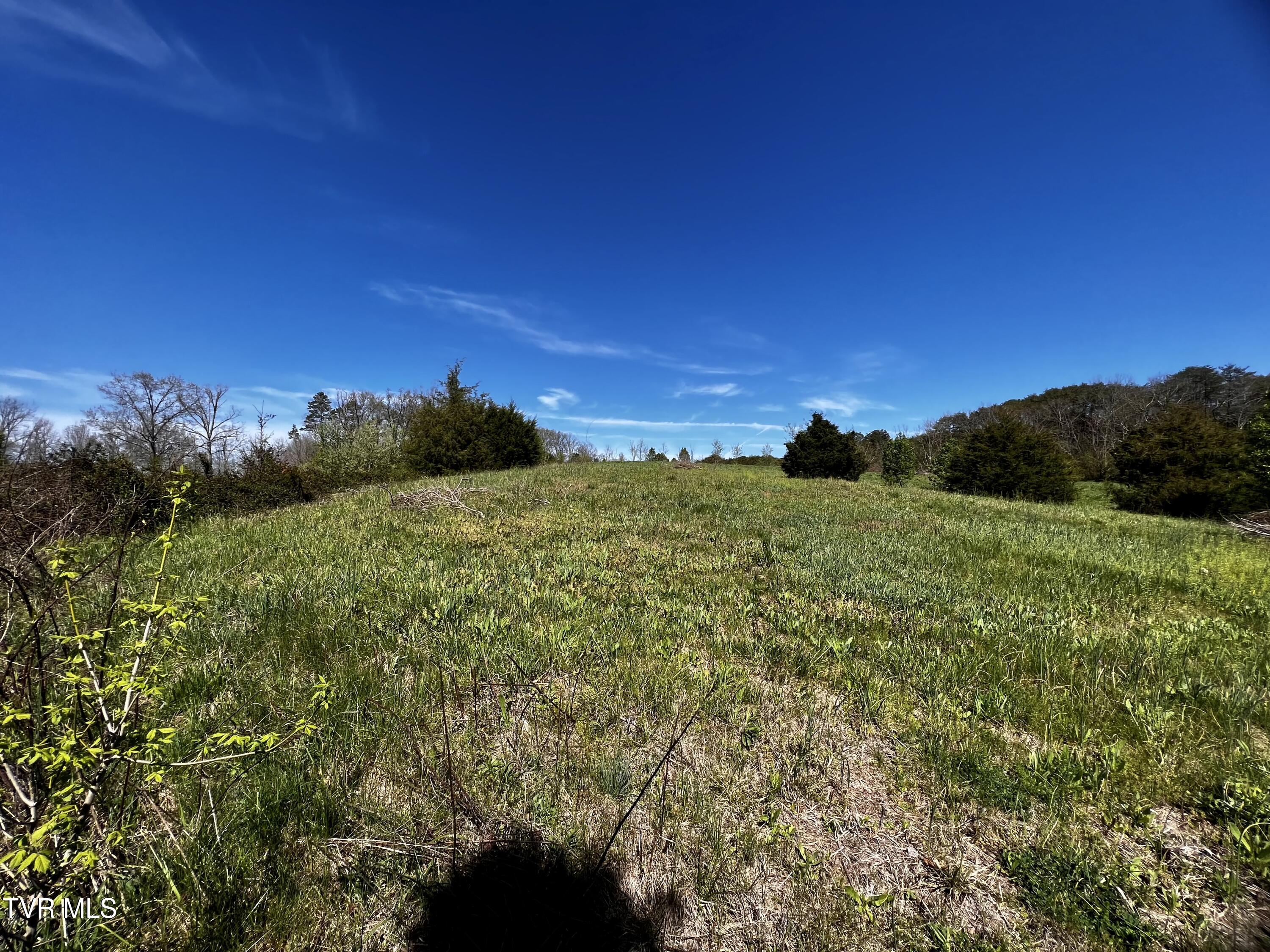 3050 Shackleford Road, Unit P/O Mosheim, TN 37818 - Photo 17 of 79 _Pic18 (45)