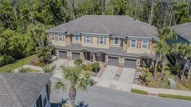 an aerial view of a house with a yard and potted plants
