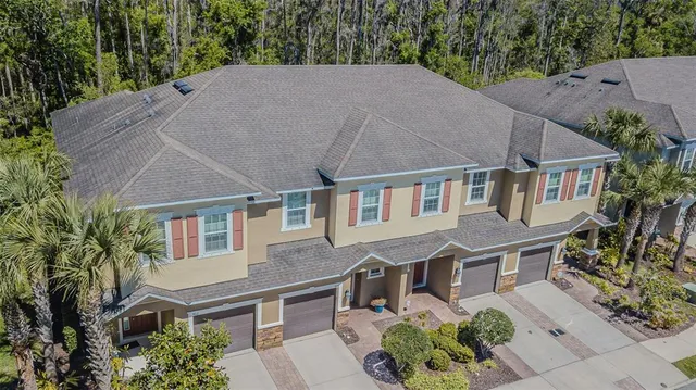 an aerial view of a house with a yard potted plants