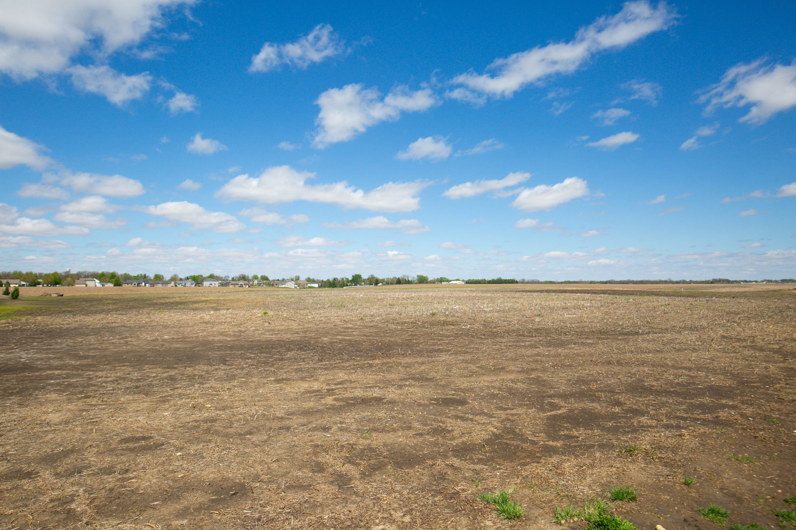 220 Ruby Court Long Grove, IA 52756 - Photo 6 of 6