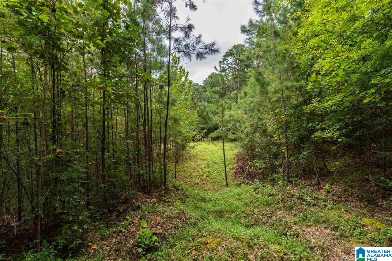 1 Shady Lane Road, Unit 1 Birmingham, AL 35213 - Photo 10 of 14 Gallery Image 10