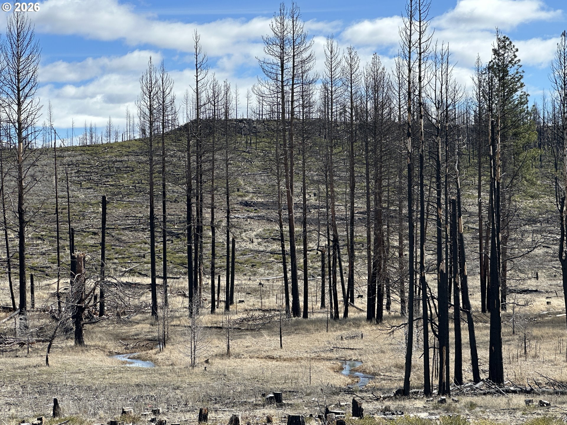 Hicks Road, Unit 400 Bly, OR 97622 - Photo 21 of 39
