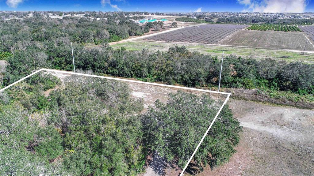 Daniel Street Dundee, FL 33838 - Photo 4 of 8