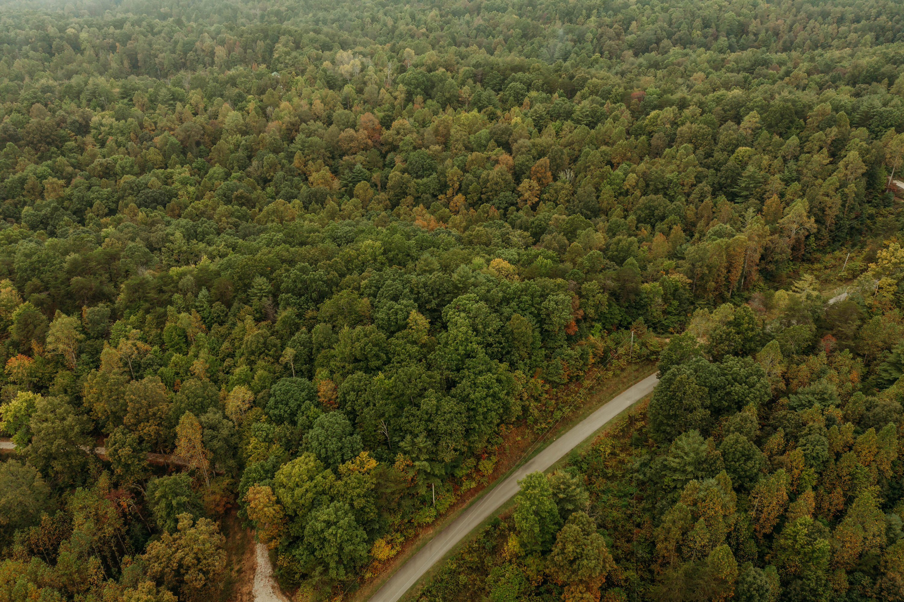 Lot 17 Holler Top Road Campton, KY 41301 - Photo 6 of 13 DJI_0146