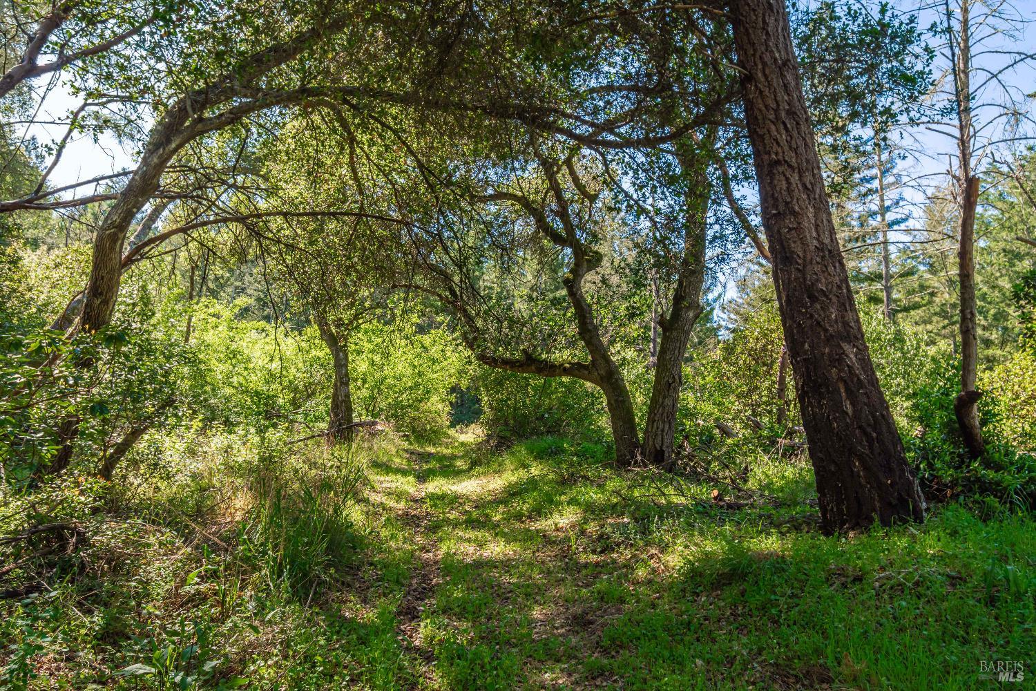 0 Dry Creek Road Napa, CA 94558 - Photo 51 of 98