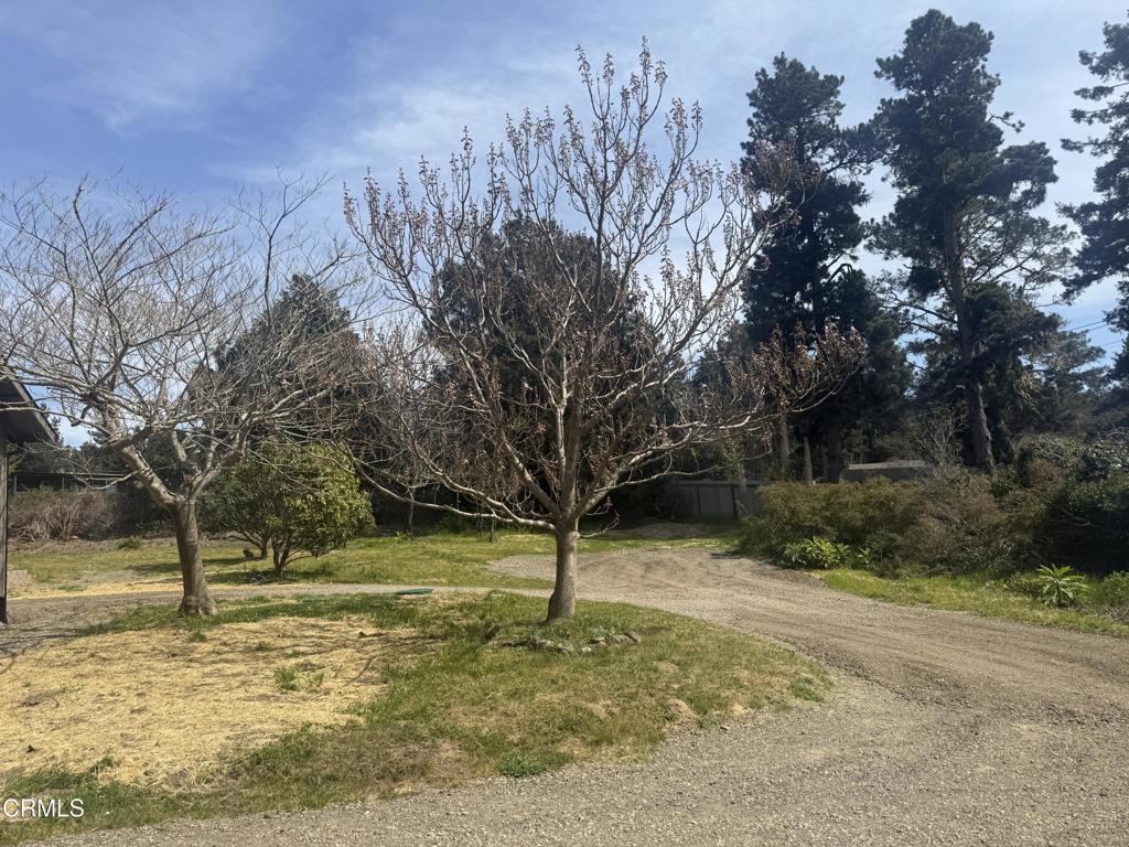 16875 Franklin Road Fort Bragg, CA 95437 - Photo 34 of 47
