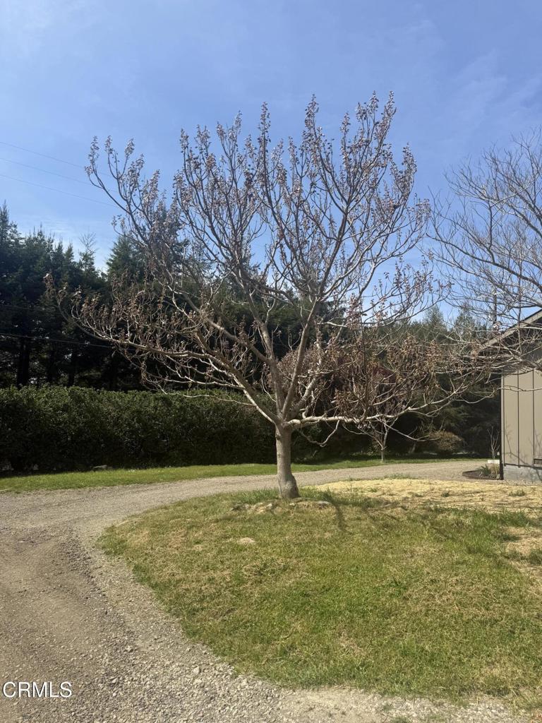 16875 Franklin Road Fort Bragg, CA 95437 - Photo 36 of 47