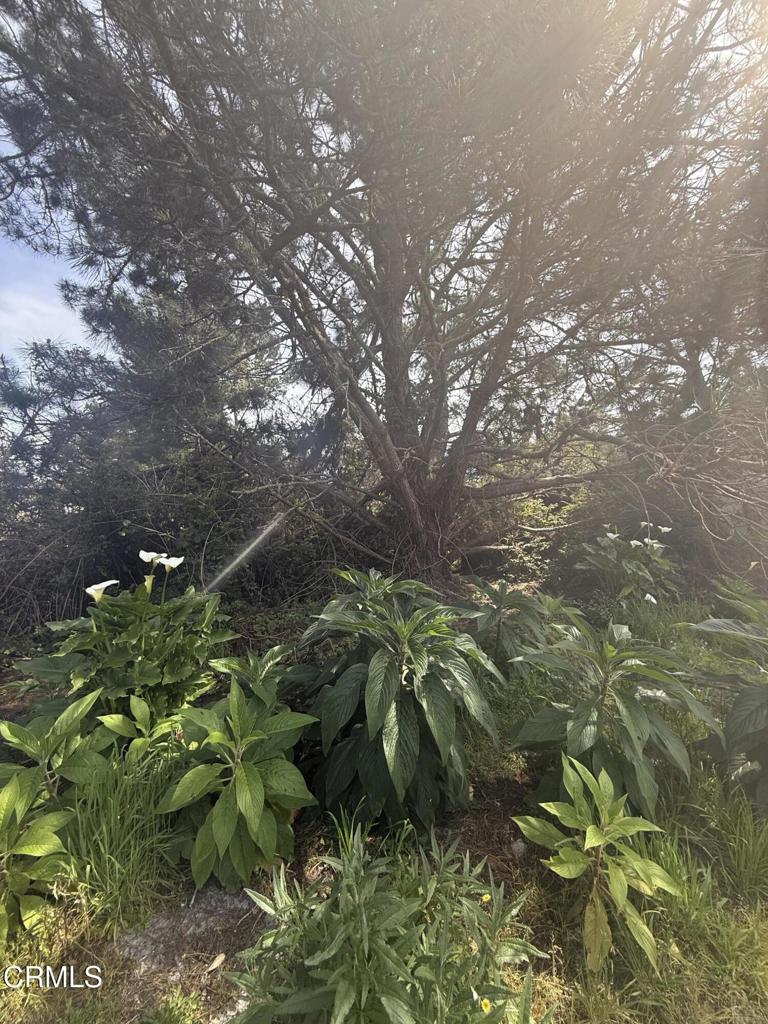 16875 Franklin Road Fort Bragg, CA 95437 - Photo 38 of 47