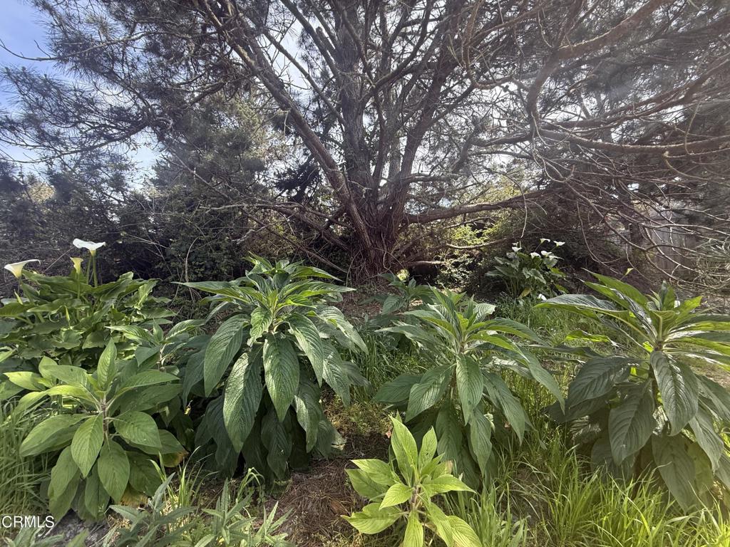 16875 Franklin Road Fort Bragg, CA 95437 - Photo 39 of 47