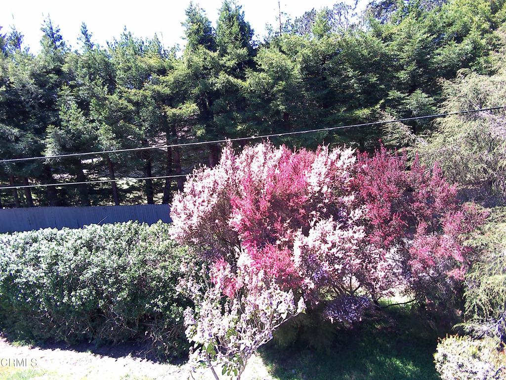16875 Franklin Road Fort Bragg, CA 95437 - Photo 50 of 50