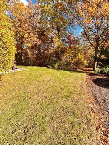 a view of outdoor space and yard