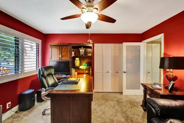 a view of a large trees with a big yard and large trees