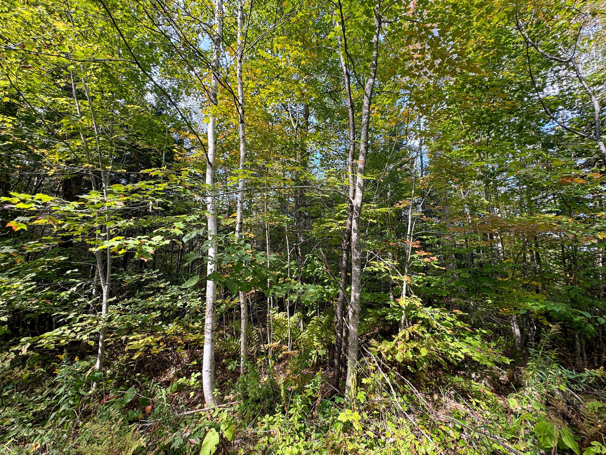 27-14 Smith Road Brownville, ME 04414 - Photo 18 of 22 18