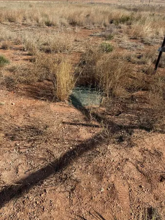 $125,000 | 6726 East Ellis Street, Lubbock, TX 79407