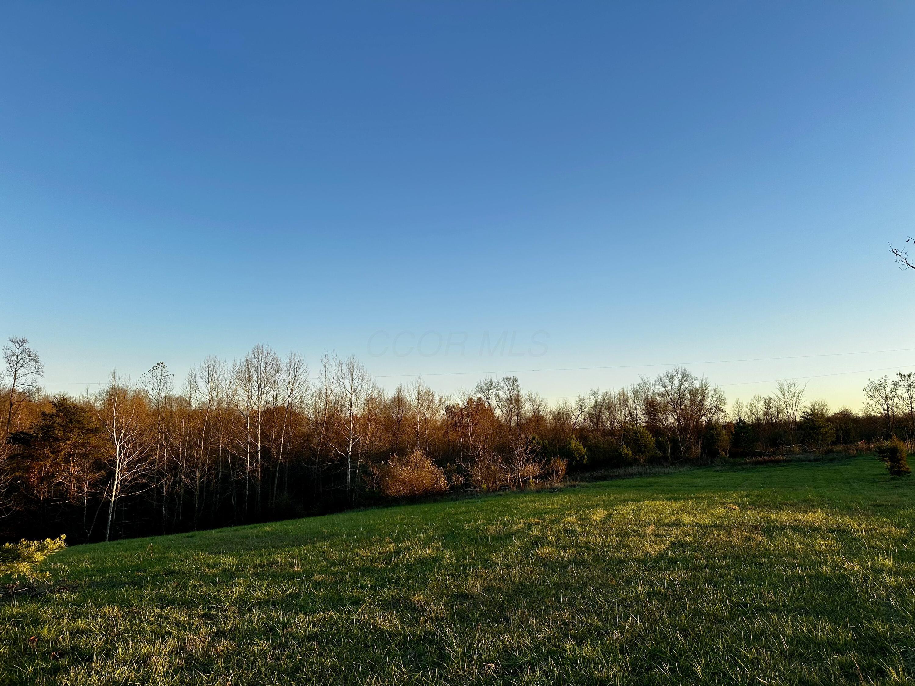 7408 Dutch Ridge Road, Unit TRACT 3 AT DUTCH RIDGE) New Straitsville, OH 43766 - Photo 8 of 29 20241111_215557785_iOS