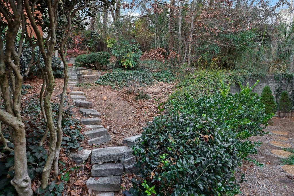 3520 Vinings Ridge Court Atlanta, GA 30339 - Photo 36 of 52 a view of a yard with plants and large trees