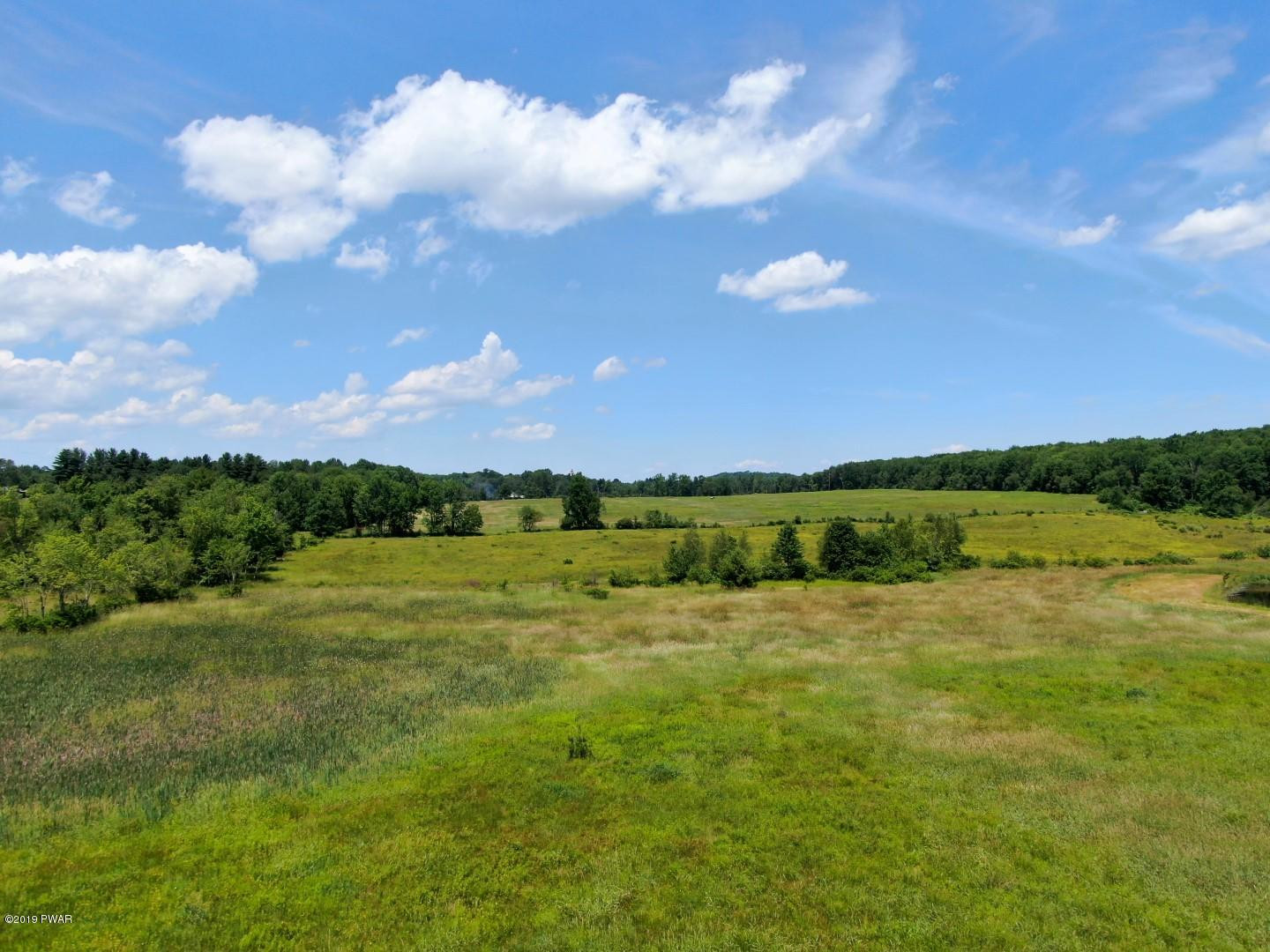 Lot 1 Slater Rd Beach Lake Beach Lake, PA 18405 - Photo 4 of 5