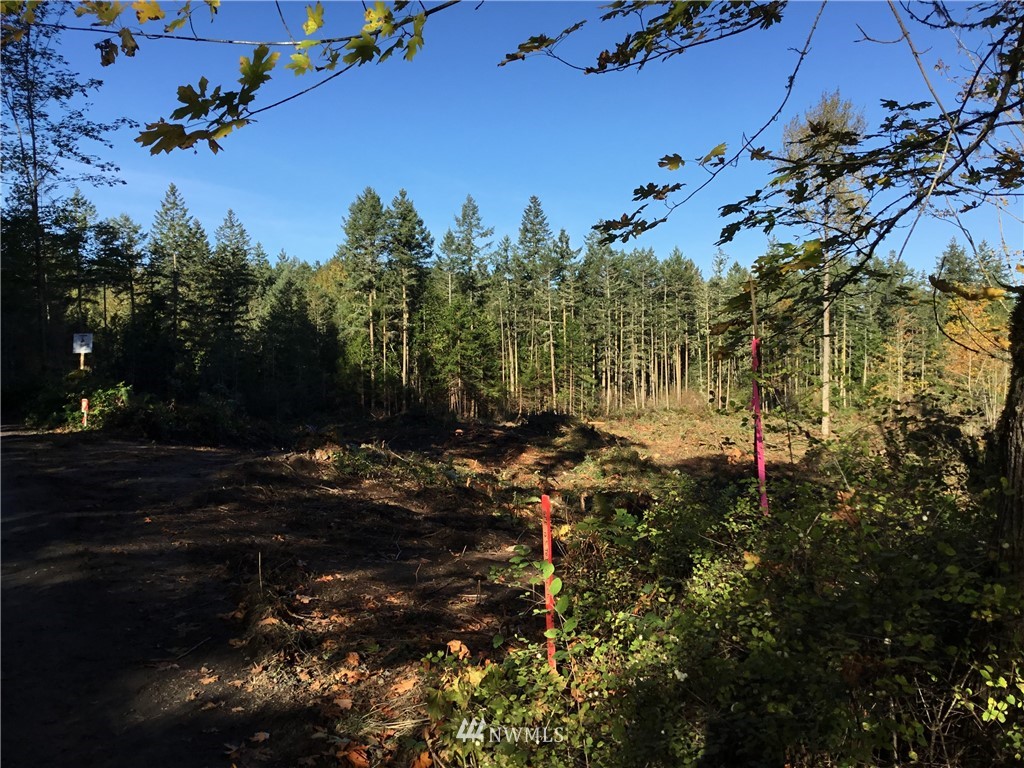 0 Guiles Road Sequim, WA 98382 - Photo 13 of 16 Gallery Image 13