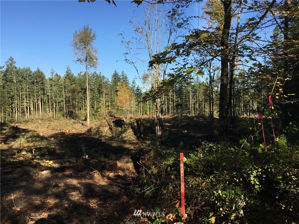 0 Guiles Road Sequim, WA 98382 - Photo 14 of 16 Gallery Image 14