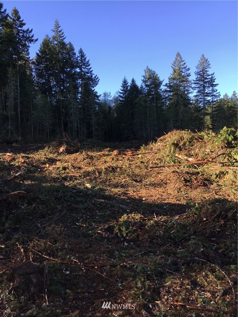 0 Guiles Road Sequim, WA 98382 - Photo 6 of 16 Gallery Image 6