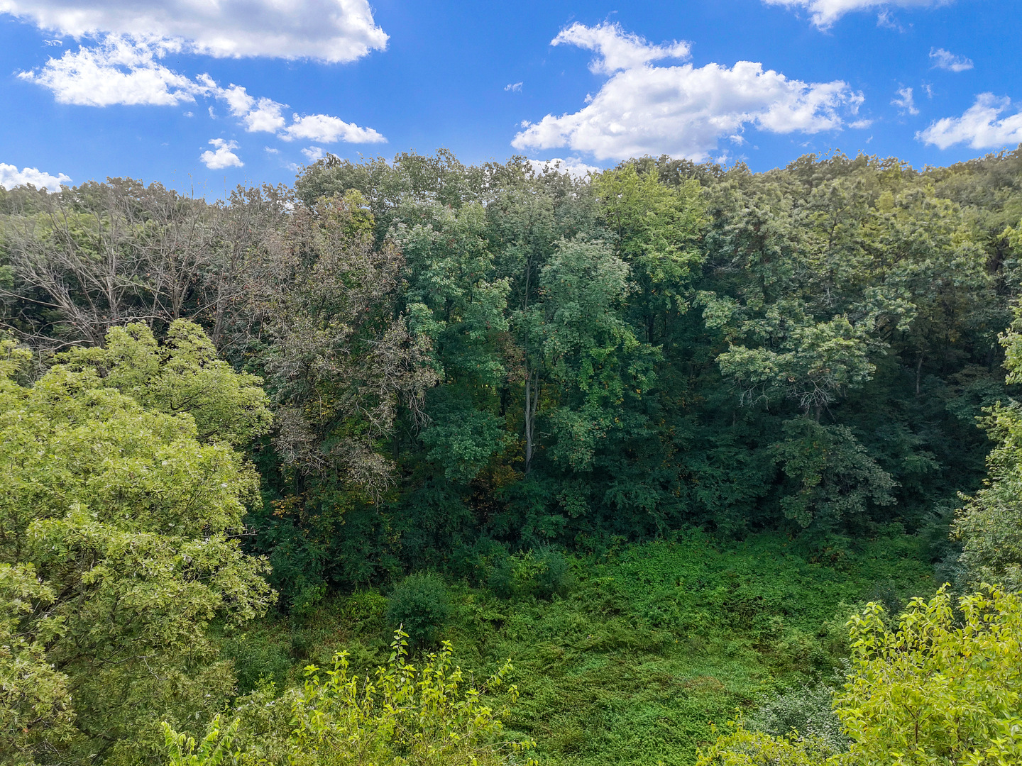 7830 North Pillow Hill Road Spring Grove, IL 60081 - Photo 69 of 69 a view of a city