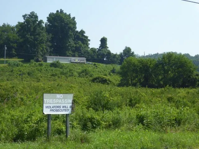 a sign board with tall trees in the background