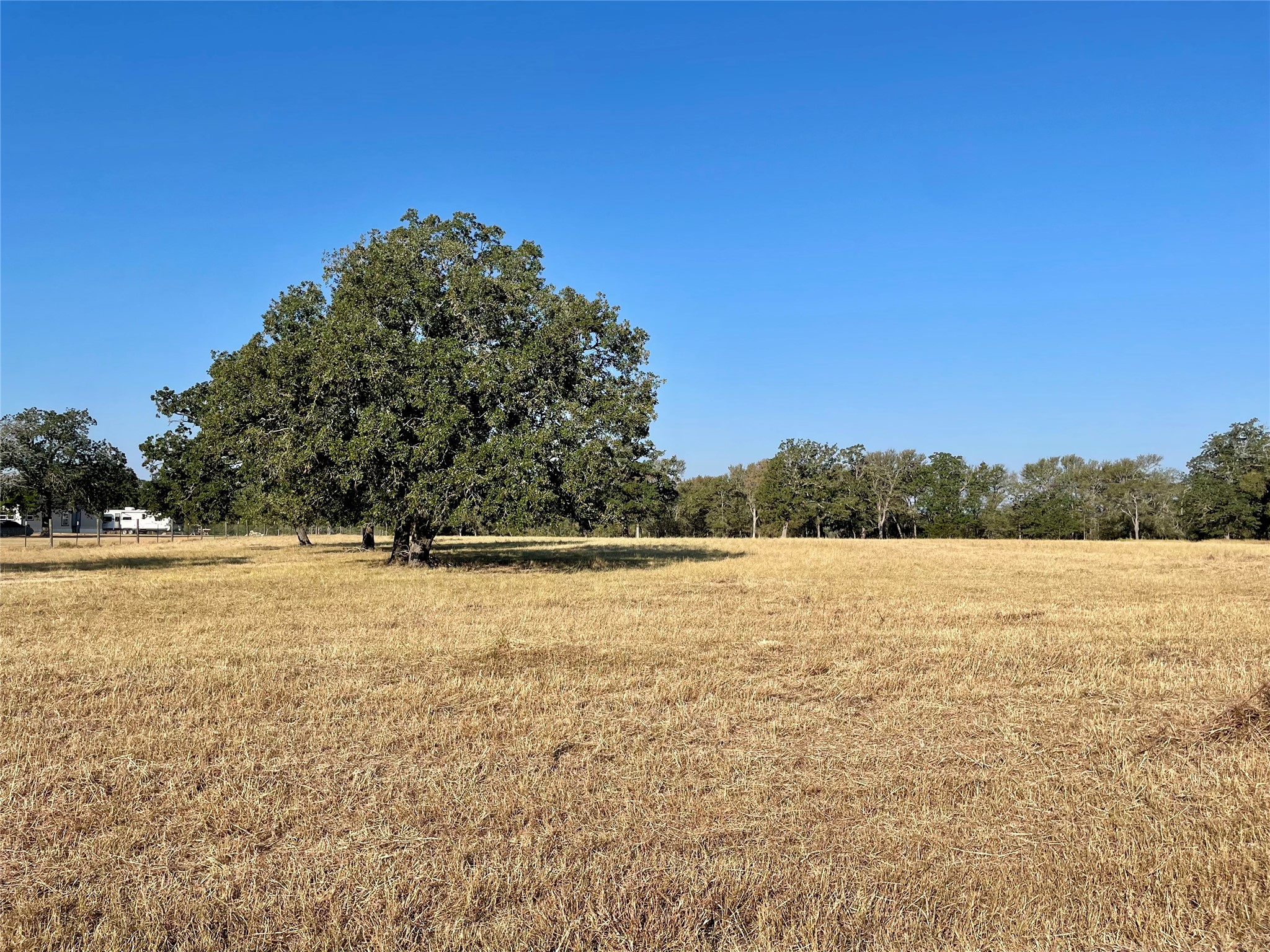 Tbd League Line Road Paige, TX 78659 - Photo 7 of 14 View of green lawn with a rural view