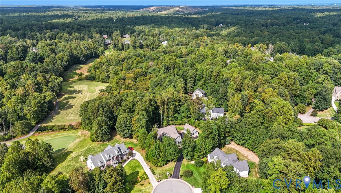 12600 Lerwick Place Chesterfield, VA 23838 - Photo 43 of 47 a view of a forest with a houses