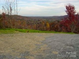 0 Owls Ridge Drive Bostic, NC 28018 - Photo 4 of 8 a view of an outdoor space and a yard