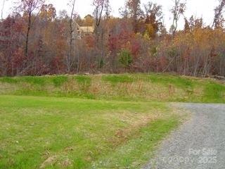 0 Owls Ridge Drive Bostic, NC 28018 - Photo 5 of 8 a view of yard with trees