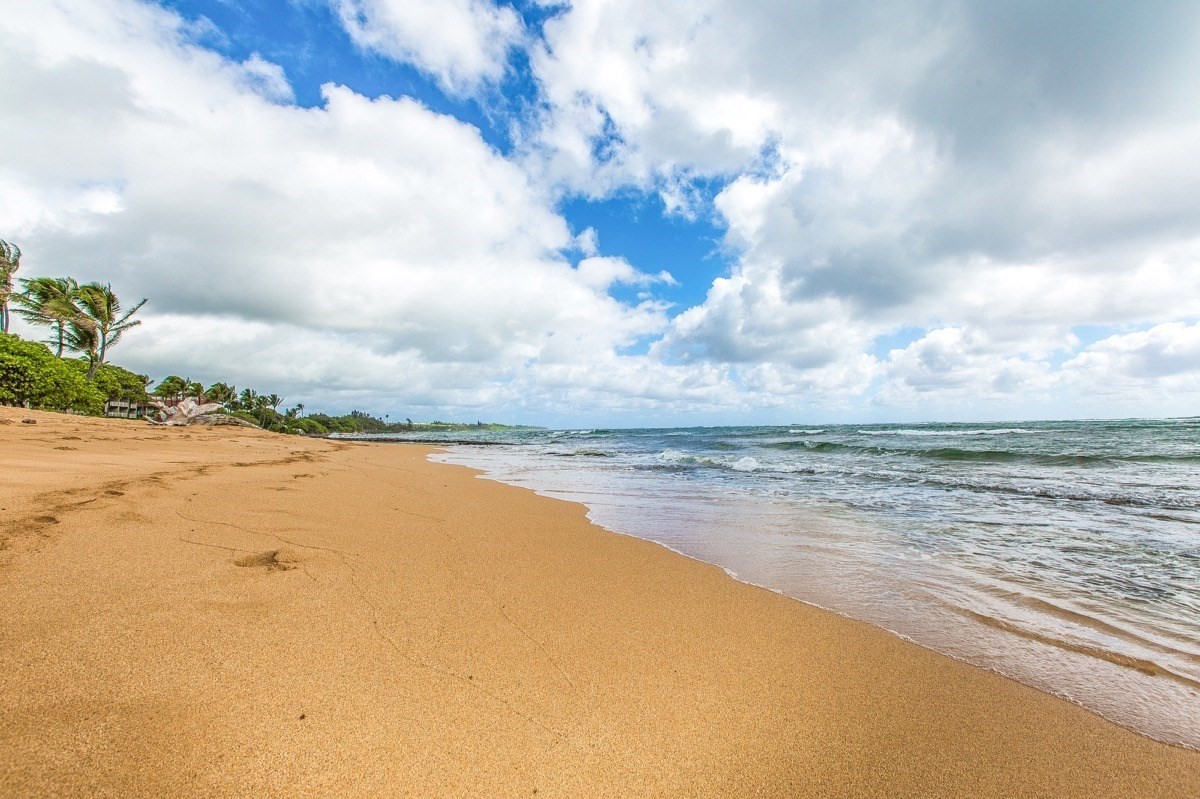 326 Koki Road Kapaa, HI 96746 - Photo 2 of 15