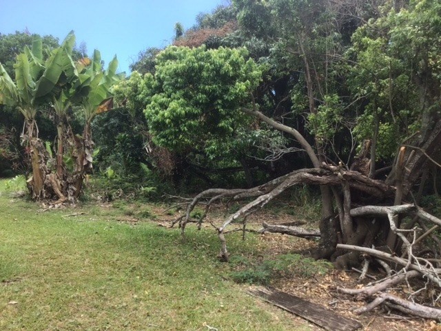 326 Koki Road Kapaa, HI 96746 - Photo 5 of 15