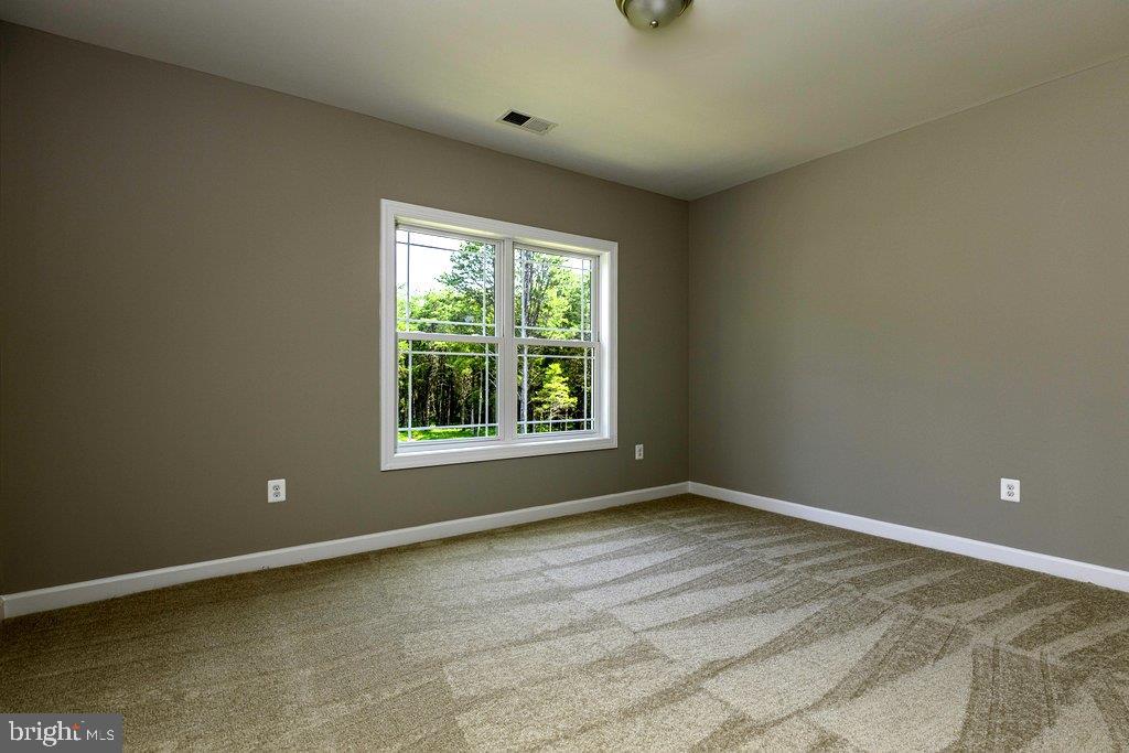16606 Gaines Road Broad Run, VA 20137 - Photo 54 of 77 Gallery Image 54