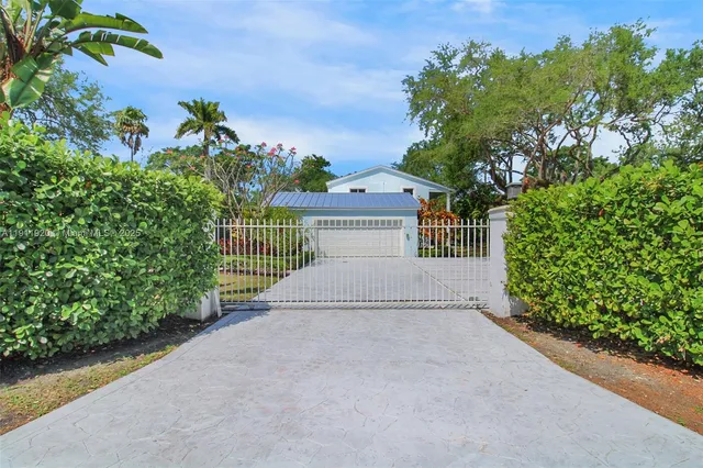 a view of a garden with a plants and trees