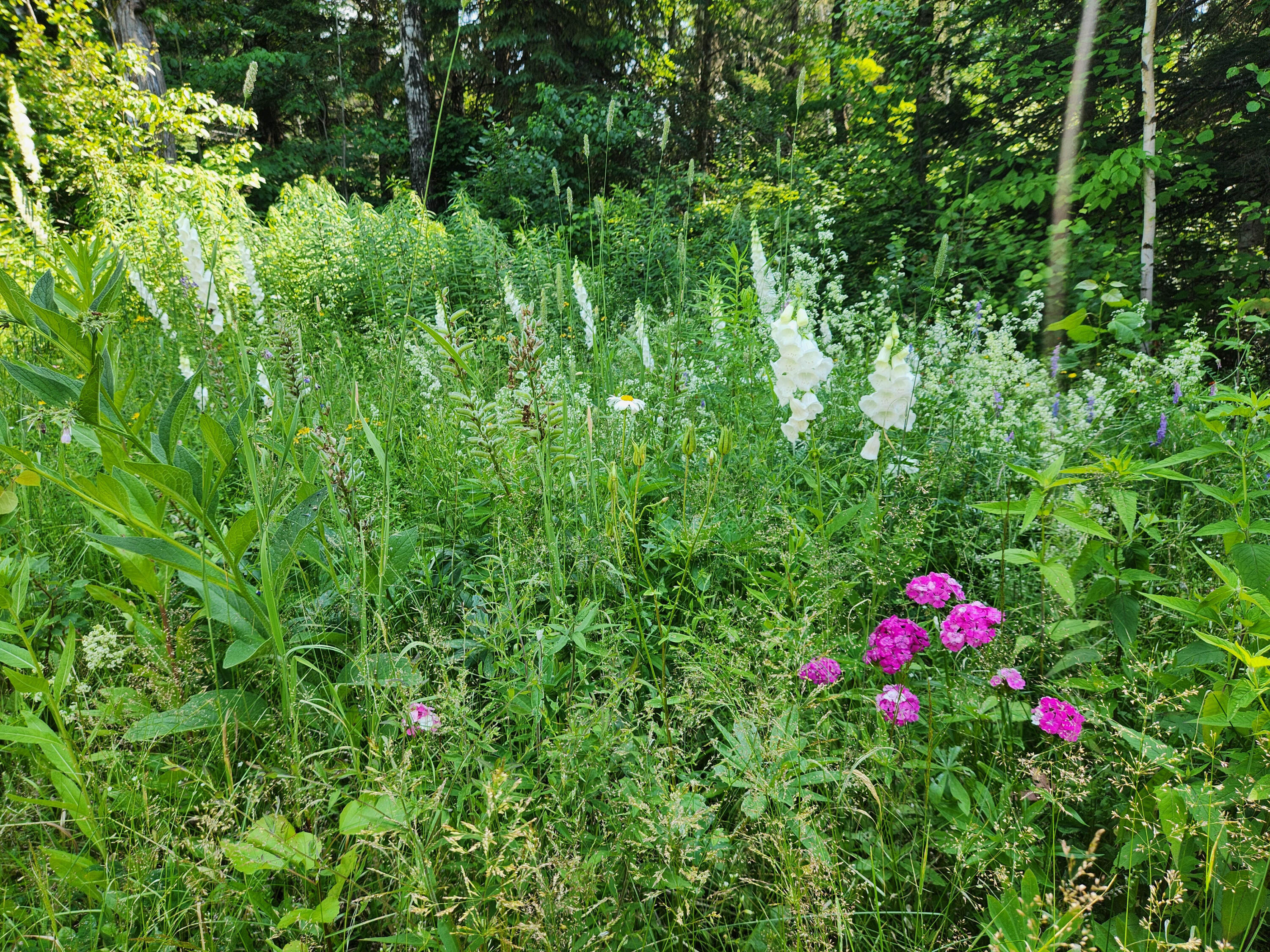 1387 Masardis Road Ashland, ME 04732 - Photo 57 of 61 1387 Masardis Road-22