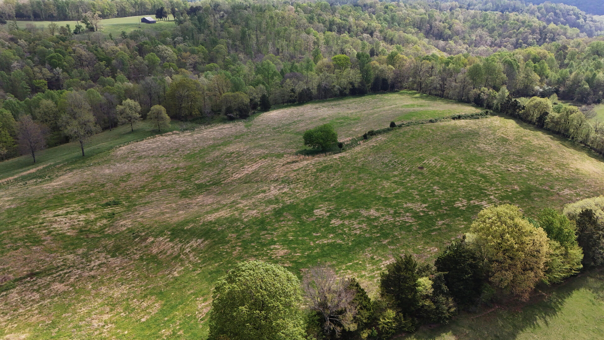 1428 Denney Road Albany, KY 42602 - Photo 50 of 50 1428 Denny Road Drone 12
