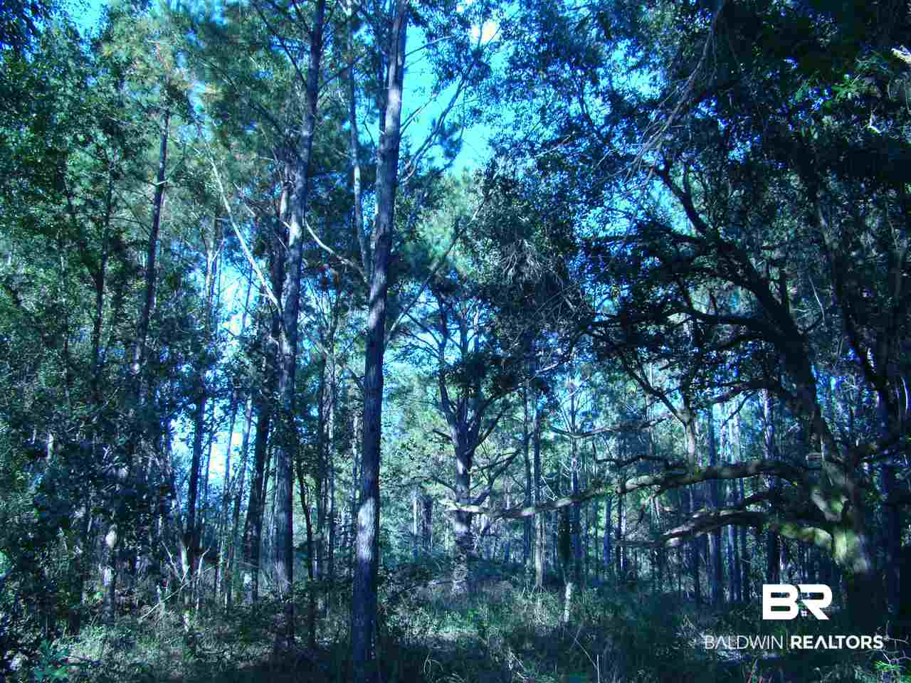 0 Lilly Wilson Lane Bay Minette, AL 36507 - Photo 3 of 9