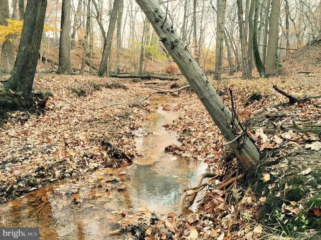 a view of yard covered with snow