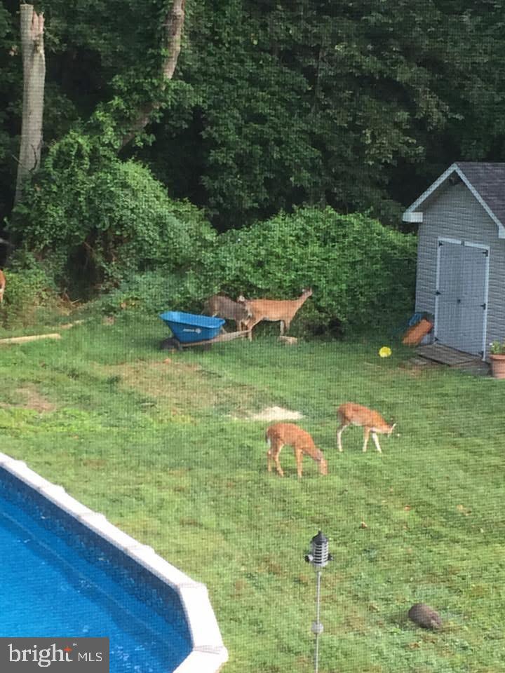 113 Parkview Road Stratford, NJ 08084 - Photo 33 of 35