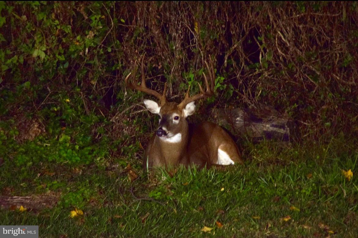 113 Parkview Road Stratford, NJ 08084 - Photo 35 of 35