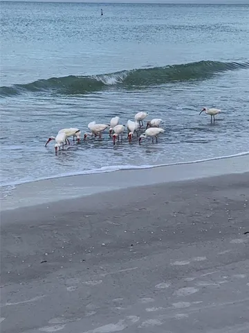 $549,900 | 100 Bluff View Drive, Unit 306C, Belleair Bluffs, FL 33770