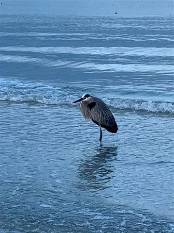 $549,900 | 100 Bluff View Drive, Unit 306C, Belleair Bluffs, FL 33770