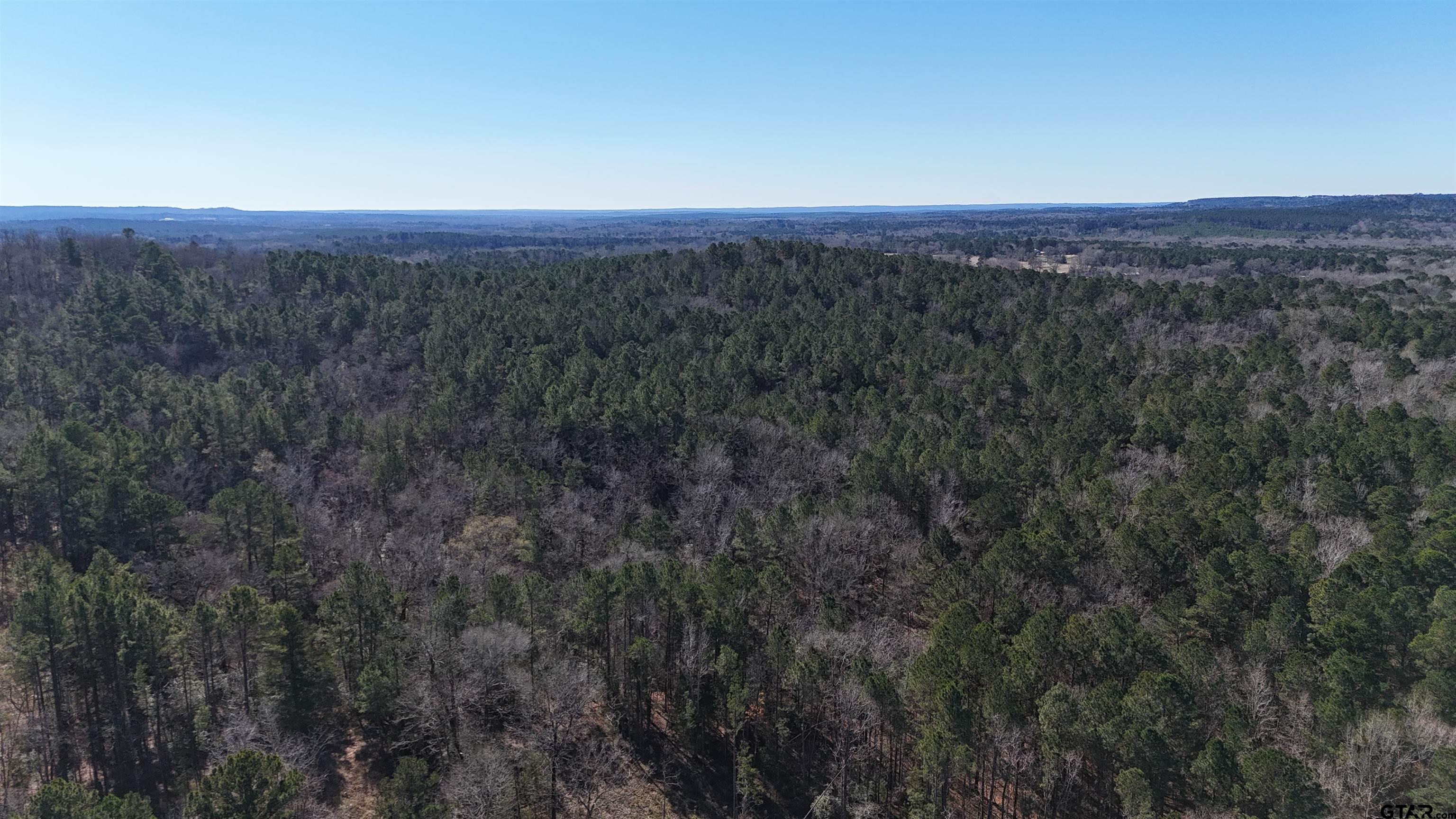 0 Hwy 84 Rusk Tx 75785 Rusk, TX 75785 - Photo 16 of 19