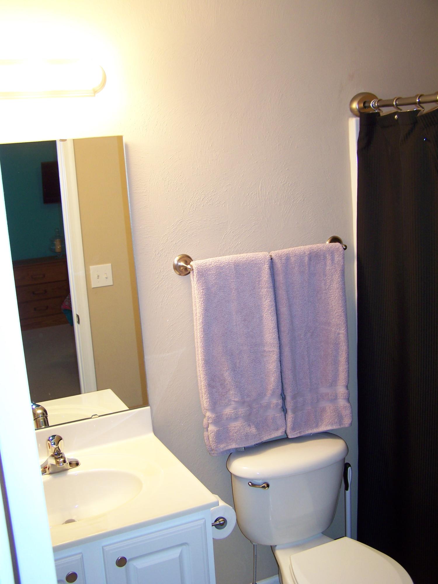 8703 Little Hoop Road Roanoke, VA 24019 - Photo 18 of 30 Private Master Bathroom #1