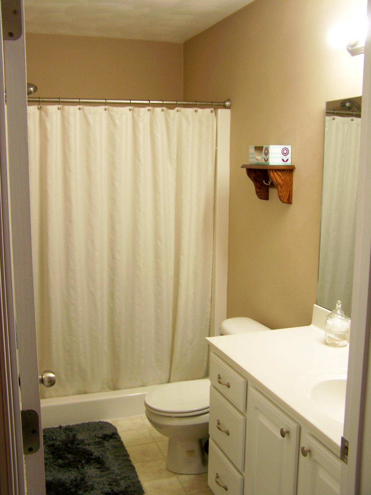 8703 Little Hoop Road Roanoke, VA 24019 - Photo 23 of 30 2nd Private In-suite Master Bathroom