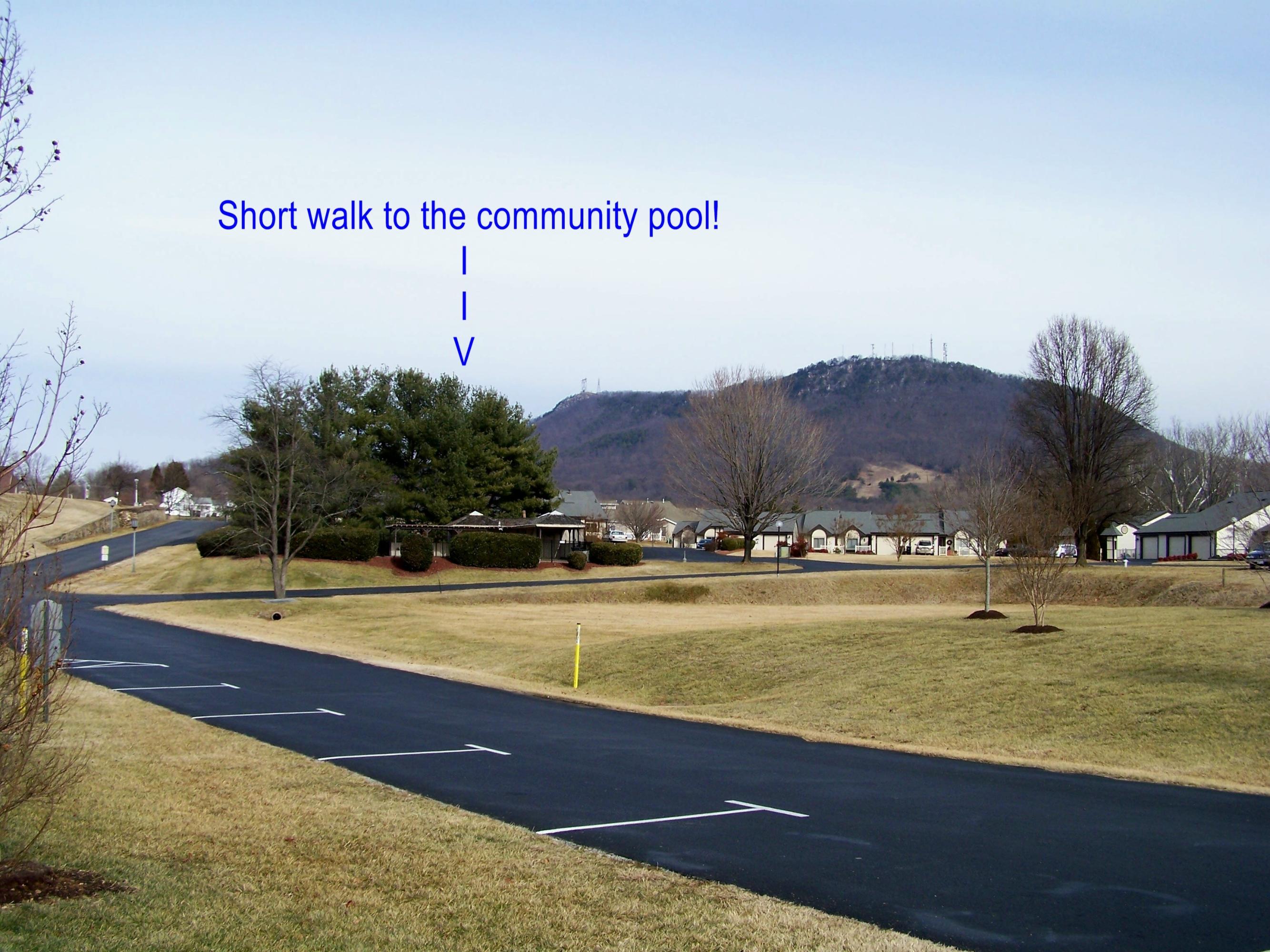 8703 Little Hoop Road Roanoke, VA 24019 - Photo 28 of 30 Community Pool Nearby!