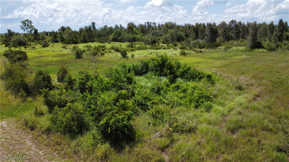 50044 Bermont Road Punta Gorda, FL 33982 - Photo 11 of 19 a view of a lush green outdoor space with a lake view