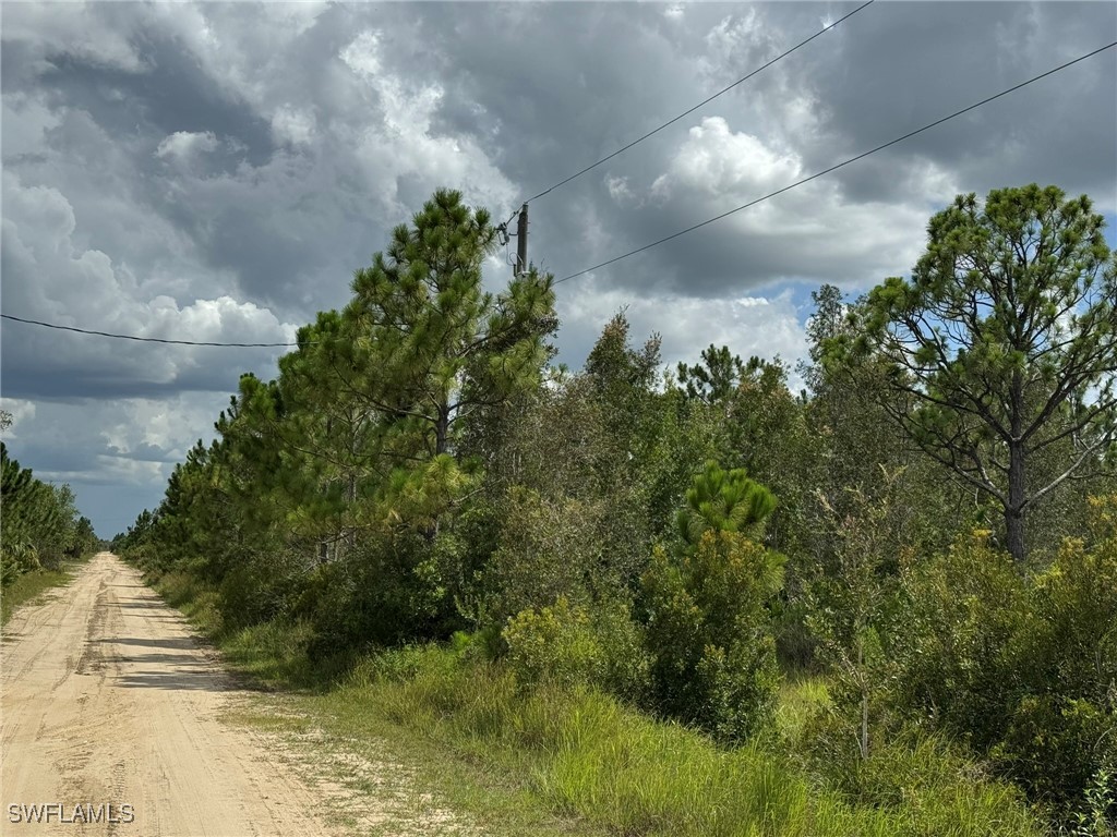 50044 Bermont Road Punta Gorda, FL 33982 - Photo 13 of 19 a view of a yard